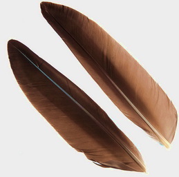goose quill natural gray ( 1 ����) METZ